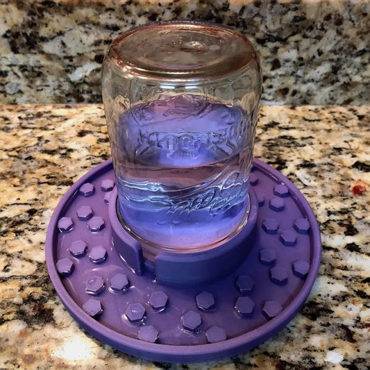 🐝Bee feeder for regular mason jars