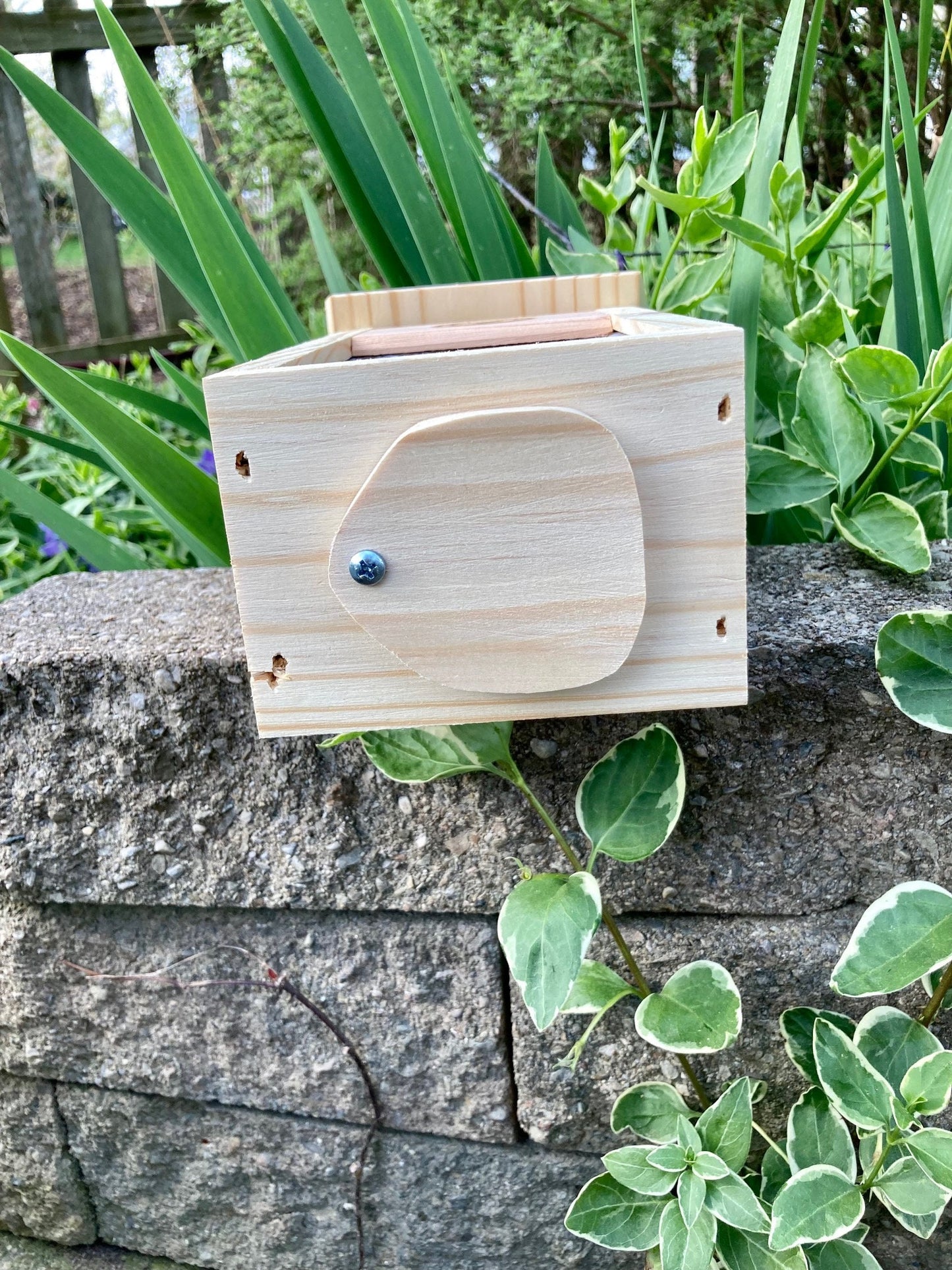 Carpenter Bee Traps