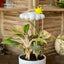 Original Dripping Rain Cloud for Plants with Sun and Pastel Rainbow Charms