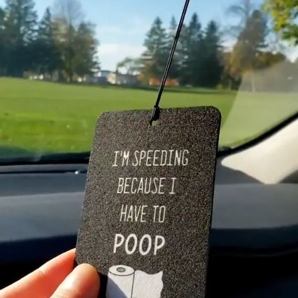 🤣Funny Car Air Freshener