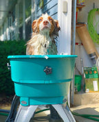 💥Last Day For Clearance🚀The Most Elegant, Convenient And Functional Dog Bath