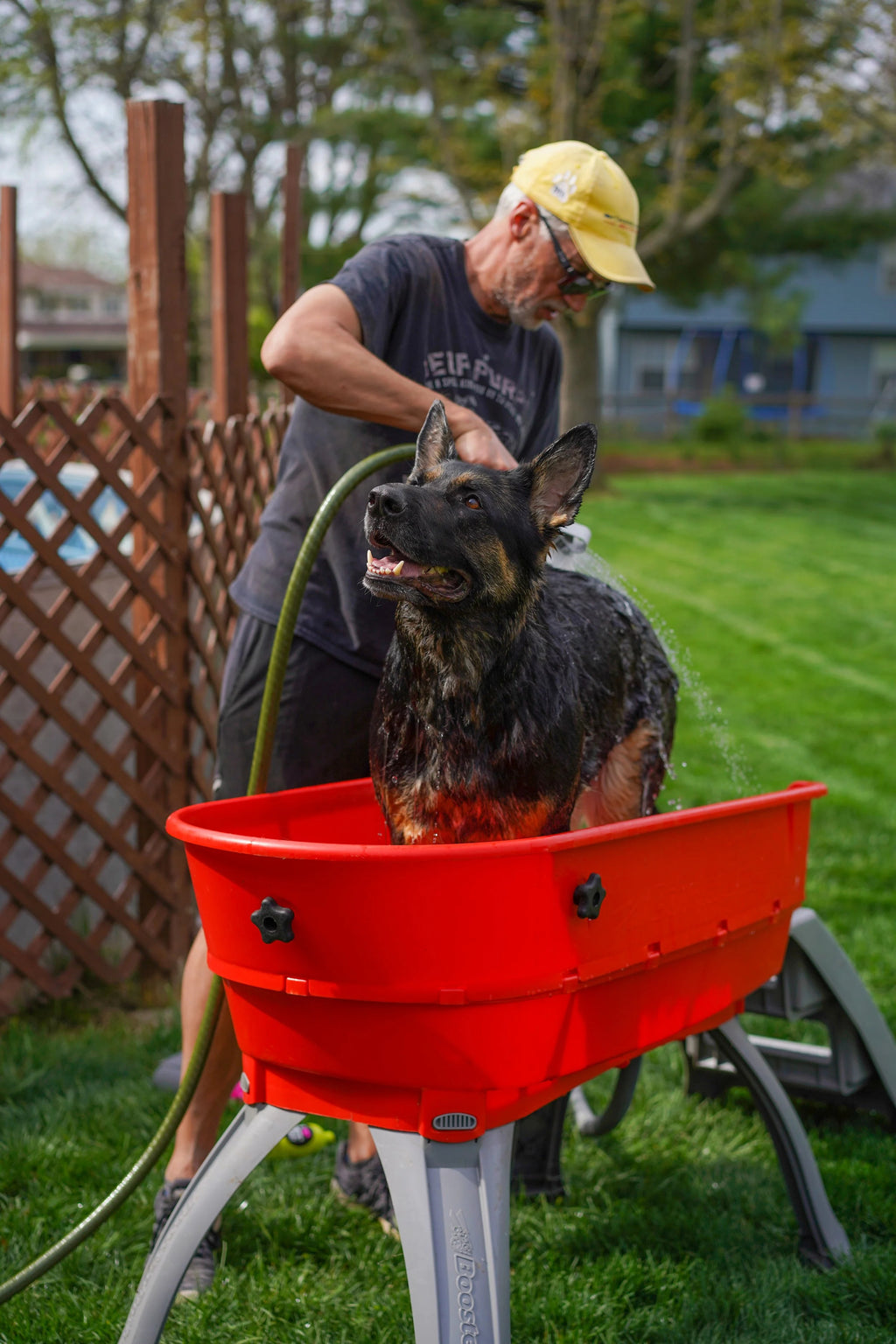 💥Last Day For Clearance🚀The Most Elegant, Convenient And Functional Dog Bath