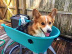 💥Last Day For Clearance🚀The Most Elegant, Convenient And Functional Dog Bath
