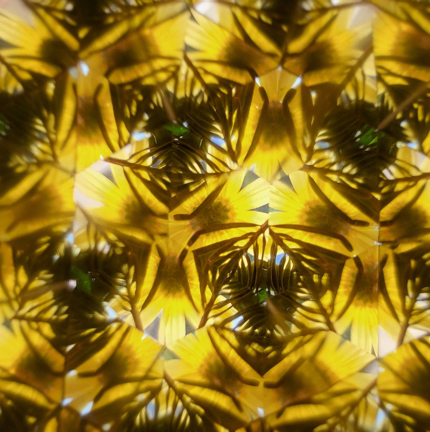 Garden Toys For Kids，Flower Kaleidoscope